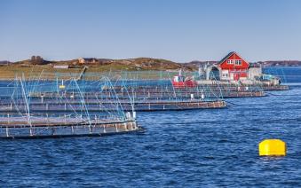 Рыбоводческое хозяйство (аквакультура) в Норвегии