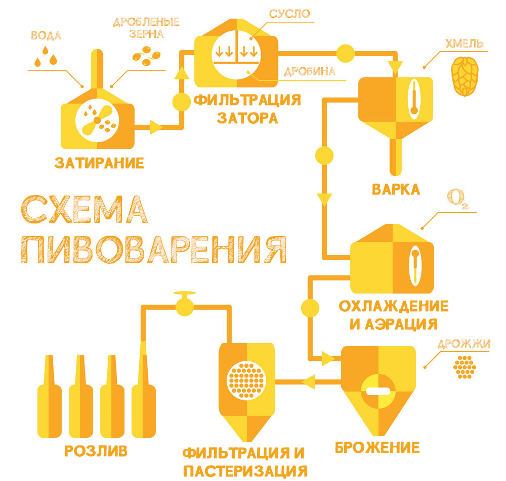 Реферат: Технология производства пива